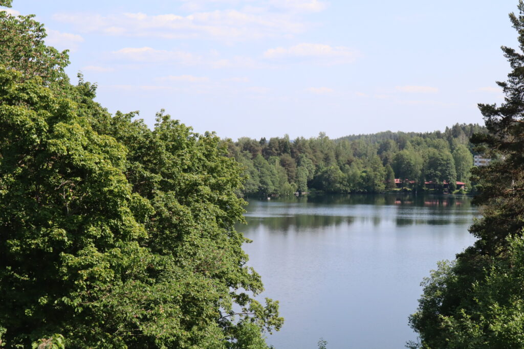 Kuvassa etualalla molemmin puolin suurikokoisen puun oksistot, kuvan keskellä sininen järvi.